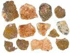 Lot - Pink and Orange Bladed Barite - Pieces - Morocco #138054-1